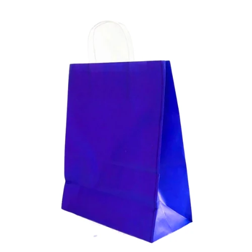 Burgu Saplı Lacivert Kağıt Çanta 25x31x12 cm