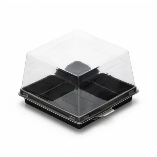 Kare Plastik Pasta Kabı 12x12x8 cm