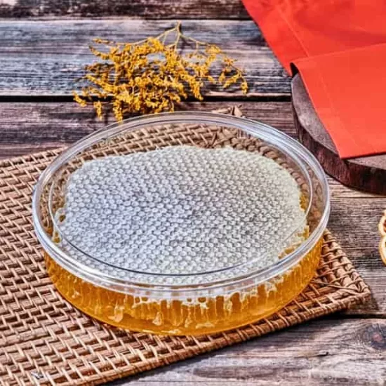 Harmony Mika Yuvarlak Kutu Kapaklı 800 cc